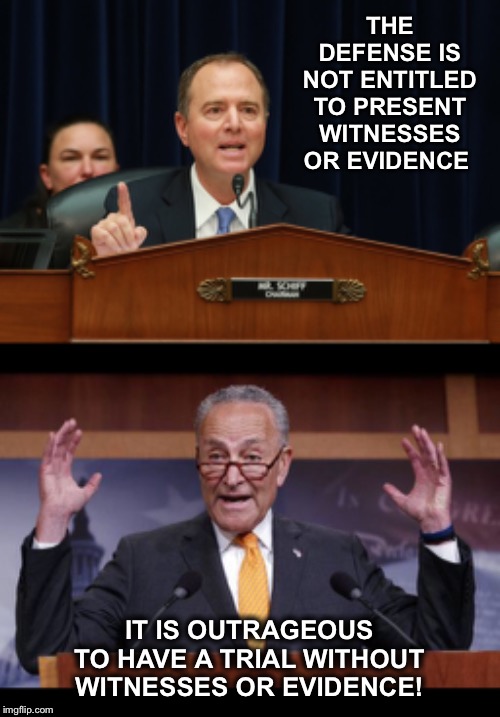 The two faces of the Democrats.  If not for double standards, they would have none at all | THE DEFENSE IS NOT ENTITLED TO PRESENT WITNESSES OR EVIDENCE; IT IS OUTRAGEOUS TO HAVE A TRIAL WITHOUT WITNESSES OR EVIDENCE! | image tagged in democrats,double standards,impeach | made w/ Imgflip meme maker