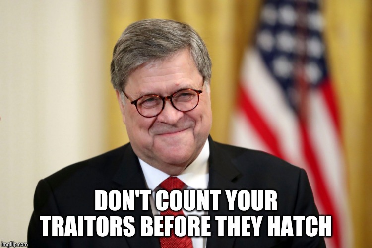 William Barr | DON'T COUNT YOUR TRAITORS BEFORE THEY HATCH | image tagged in william barr | made w/ Imgflip meme maker