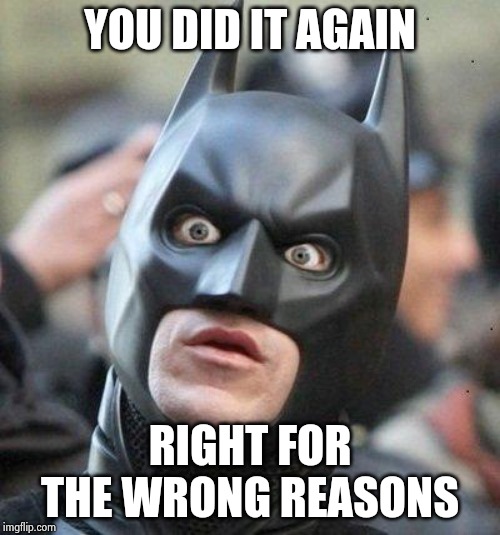 Shocked Batman | YOU DID IT AGAIN RIGHT FOR THE WRONG REASONS | image tagged in shocked batman | made w/ Imgflip meme maker
