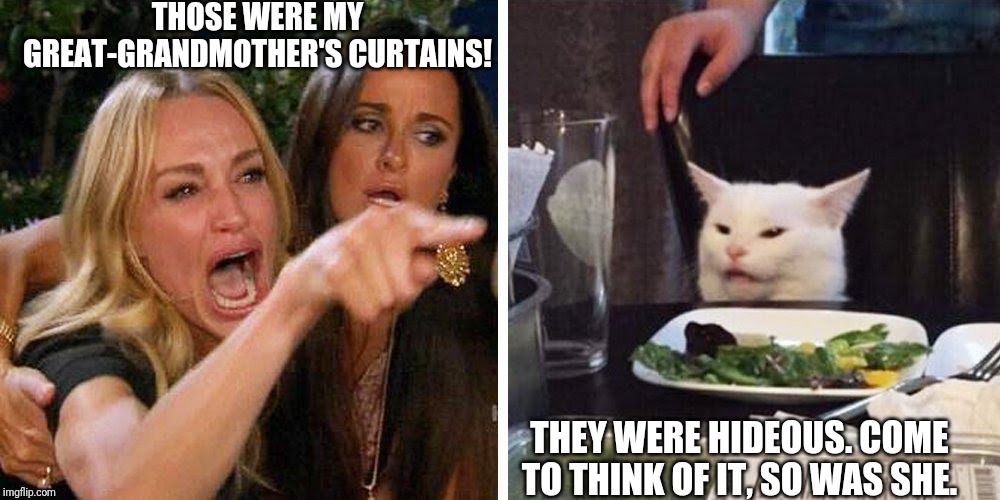 Smudge the cat | THOSE WERE MY GREAT-GRANDMOTHER'S CURTAINS! THEY WERE HIDEOUS. COME TO THINK OF IT, SO WAS SHE. | image tagged in smudge the cat | made w/ Imgflip meme maker