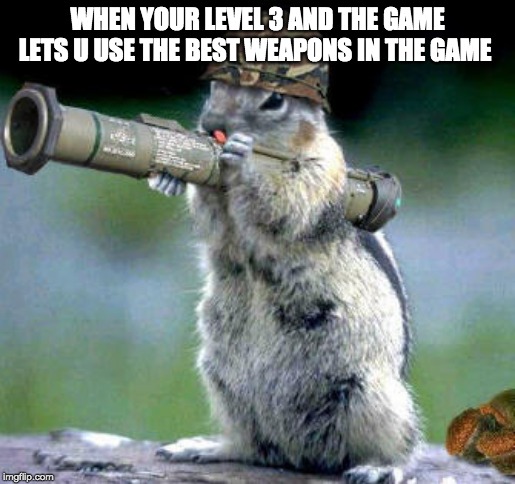 Bazooka Squirrel Meme | WHEN YOUR LEVEL 3 AND THE GAME LETS U USE THE BEST WEAPONS IN THE GAME | image tagged in memes,bazooka squirrel | made w/ Imgflip meme maker