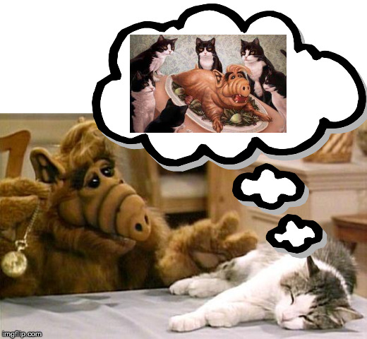 Lucky's dream on ALF | image tagged in alf,cats | made w/ Imgflip meme maker