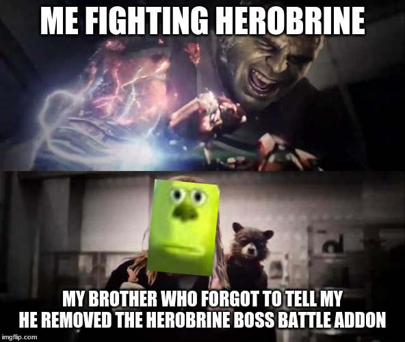 Thor thumbs up | ME FIGHTING HEROBRINE; MY BROTHER WHO FORGOT TO TELL MY HE REMOVED THE HEROBRINE BOSS BATTLE ADDON | image tagged in thor thumbs up | made w/ Imgflip meme maker