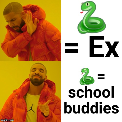 Drake Hotline Bling Meme | 🐍 = Ex; 🐍= school buddies | image tagged in memes,drake hotline bling | made w/ Imgflip meme maker