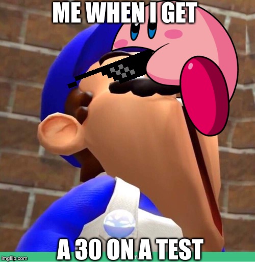 smg4's face | ME WHEN I GET; A 30 ON A TEST | image tagged in smg4's face | made w/ Imgflip meme maker