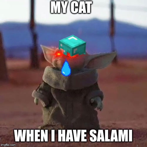 Baby Yoda | MY CAT; WHEN I HAVE SALAMI | image tagged in baby yoda | made w/ Imgflip meme maker