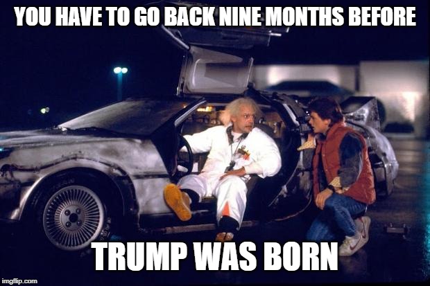 Back to the future | YOU HAVE TO GO BACK NINE MONTHS BEFORE; TRUMP WAS BORN | image tagged in back to the future | made w/ Imgflip meme maker
