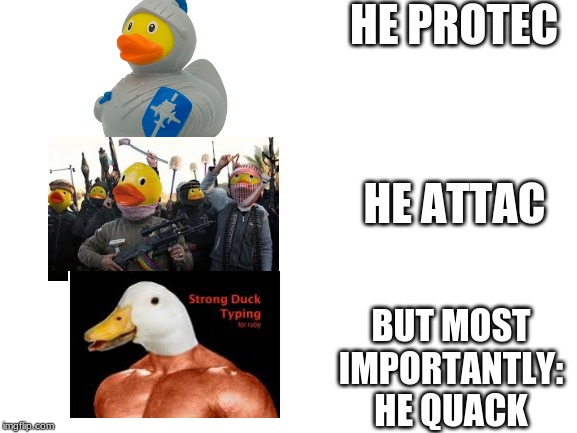 Blank White Template | HE PROTEC; HE ATTAC; BUT MOST IMPORTANTLY:
HE QUACK | image tagged in blank white template | made w/ Imgflip meme maker