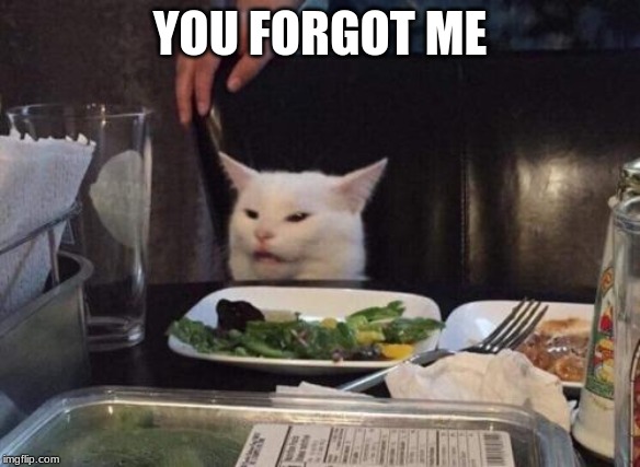 Salad cat | YOU FORGOT ME | image tagged in salad cat | made w/ Imgflip meme maker