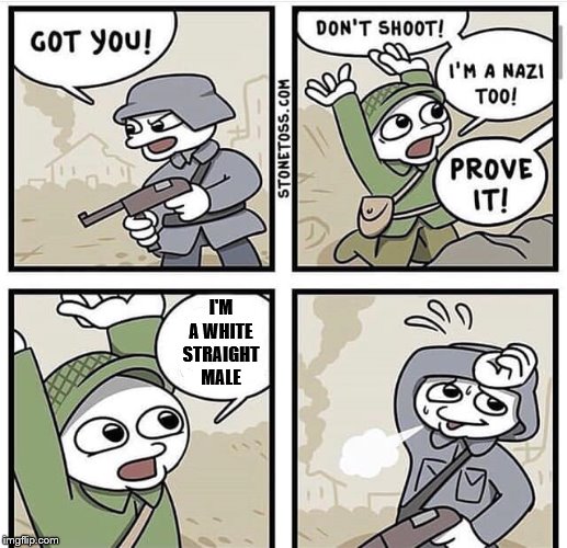 Don't shoot i'm a nazi too | I'M A WHITE STRAIGHT MALE | image tagged in don't shoot i'm a nazi too | made w/ Imgflip meme maker