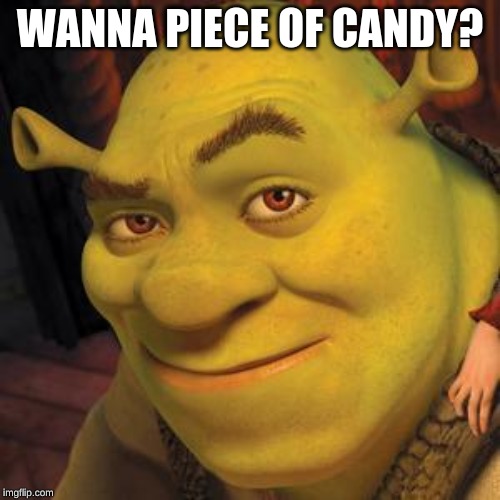 Shrek Sexy Face | WANNA PIECE OF CANDY? | image tagged in shrek sexy face | made w/ Imgflip meme maker