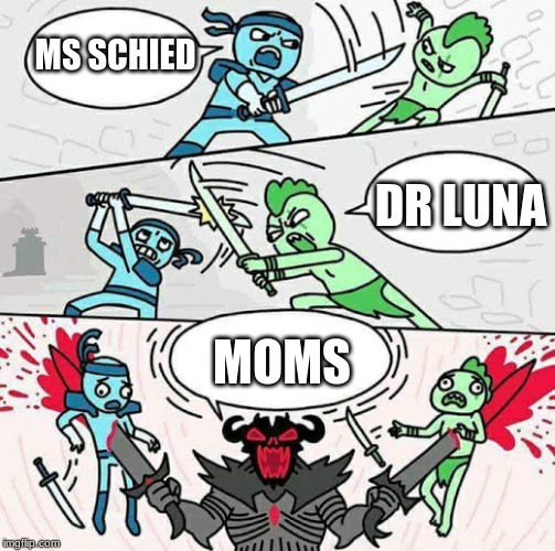 Sword fight | MS SCHIED; DR LUNA; MOMS | image tagged in sword fight | made w/ Imgflip meme maker