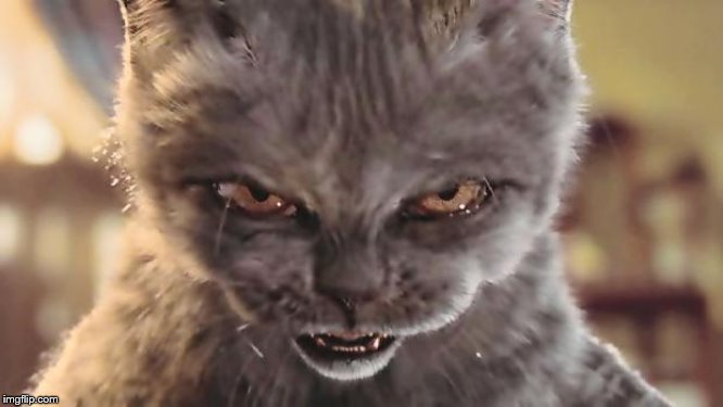 Evil Cat | image tagged in evil cat | made w/ Imgflip meme maker