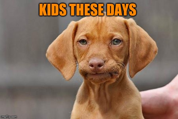 Dissapointed puppy | KIDS THESE DAYS | image tagged in dissapointed puppy | made w/ Imgflip meme maker