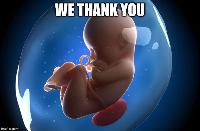 Pro Life | WE THANK YOU | image tagged in pro life | made w/ Imgflip meme maker