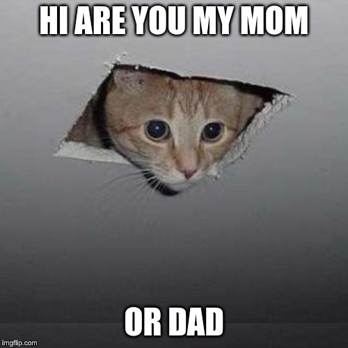 Ceiling Cat | HI ARE YOU MY MOM; OR DAD | image tagged in memes,ceiling cat | made w/ Imgflip meme maker