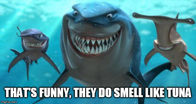 Fish are friends not food | THAT'S FUNNY, THEY DO SMELL LIKE TUNA | image tagged in fish are friends not food | made w/ Imgflip meme maker