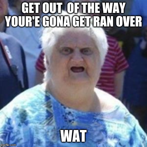 WAT Lady | GET OUT  OF THE WAY YOUR'E GONA GET RAN OVER; WAT | image tagged in wat lady | made w/ Imgflip meme maker