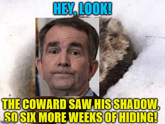 How many fences and walls was he hiding behind anyway? | HEY, LOOK! THE COWARD SAW HIS SHADOW, SO SIX MORE WEEKS OF HIDING! | image tagged in groundhog in snow,political meme,governor northam,memes,gun rights | made w/ Imgflip meme maker