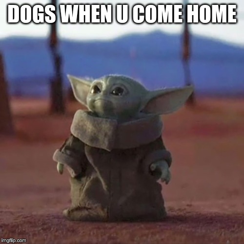 Baby Yoda | DOGS WHEN U COME HOME | image tagged in baby yoda | made w/ Imgflip meme maker