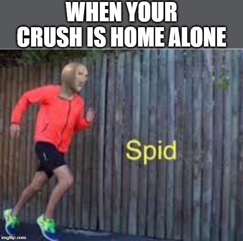 spid | WHEN YOUR CRUSH IS HOME ALONE | image tagged in spid | made w/ Imgflip meme maker