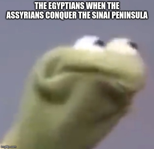 history memes | THE EGYPTIANS WHEN THE ASSYRIANS CONQUER THE SINAI PENINSULA | image tagged in kermit the frog | made w/ Imgflip meme maker