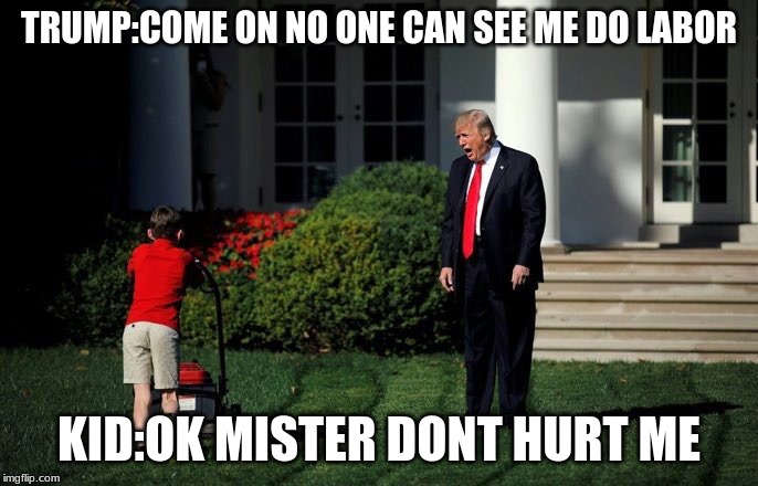 Trump Lawn Mower | TRUMP:COME ON NO ONE CAN SEE ME DO LABOR; KID:OK MISTER DONT HURT ME | image tagged in trump lawn mower | made w/ Imgflip meme maker