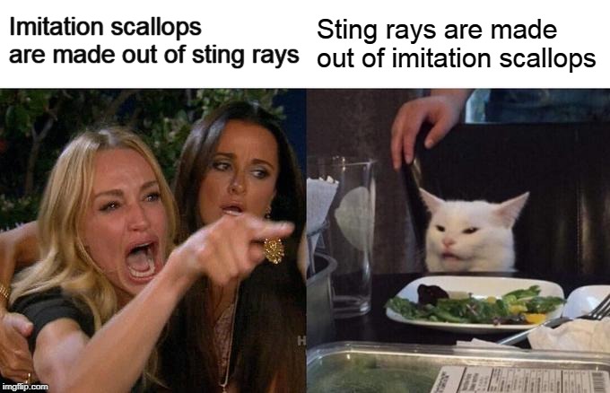 Woman Yelling At Cat Meme | Imitation scallops are made out of sting rays; Sting rays are made out of imitation scallops | image tagged in memes,woman yelling at cat,scallops,sea food,sting rays,fish | made w/ Imgflip meme maker