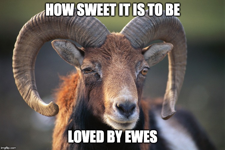HOW SWEET IT IS TO BE; LOVED BY EWES | made w/ Imgflip meme maker