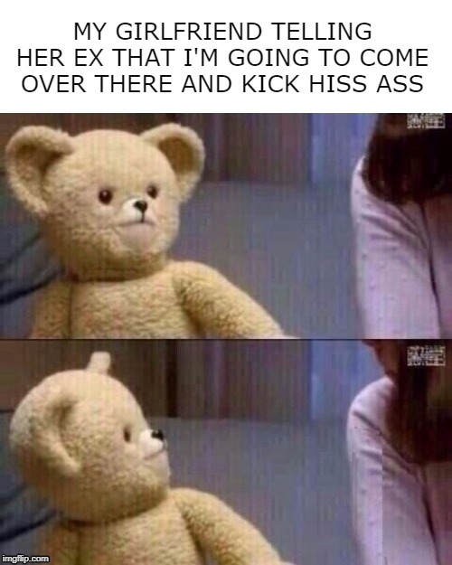 What? Teddy Bear | MY GIRLFRIEND TELLING HER EX THAT I'M GOING TO COME OVER THERE AND KICK HISS ASS | image tagged in what teddy bear,girlfriend,memes,ex boyfriend,fighting | made w/ Imgflip meme maker