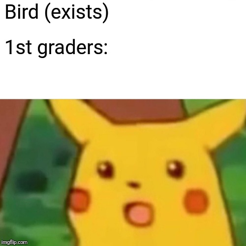 Surprised Pikachu | Bird (exists); 1st graders: | image tagged in memes,surprised pikachu | made w/ Imgflip meme maker