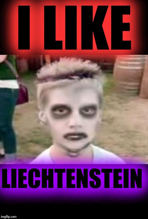 I like turtles | I LIKE LIECHTENSTEIN | image tagged in i like turtles | made w/ Imgflip meme maker