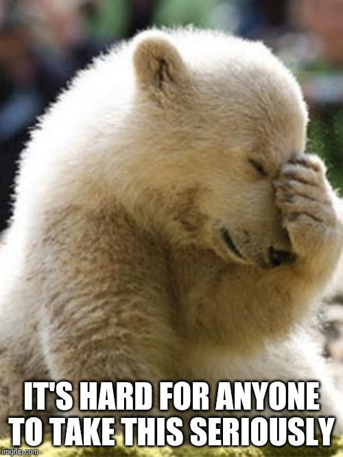 Facepalm Bear Meme | IT'S HARD FOR ANYONE TO TAKE THIS SERIOUSLY | image tagged in memes,facepalm bear | made w/ Imgflip meme maker