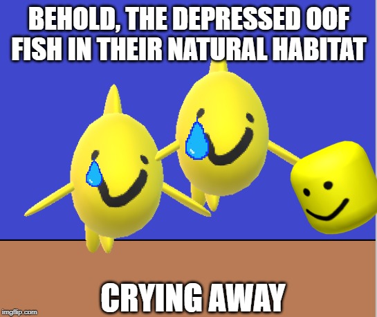The Natural habitat of the oof fish | BEHOLD, THE DEPRESSED OOF FISH IN THEIR NATURAL HABITAT; CRYING AWAY | image tagged in oof,fish | made w/ Imgflip meme maker