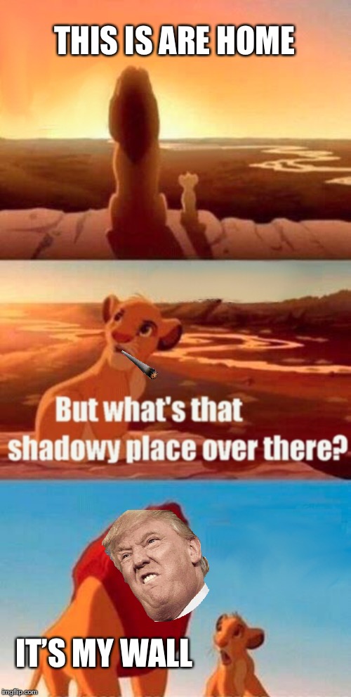 Simba Shadowy Place | THIS IS ARE HOME; IT’S MY WALL | image tagged in memes,simba shadowy place | made w/ Imgflip meme maker