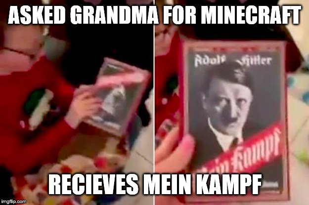 ASKED GRANDMA FOR MINECRAFT RECIEVES MEIN KAMPF | made w/ Imgflip meme maker