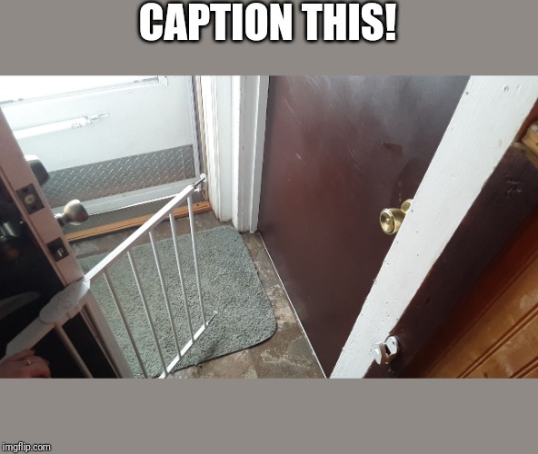 Caption this! | CAPTION THIS! | image tagged in caption this | made w/ Imgflip meme maker
