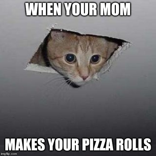 Ceiling Cat | WHEN YOUR MOM; MAKES YOUR PIZZA ROLLS | image tagged in memes,ceiling cat | made w/ Imgflip meme maker