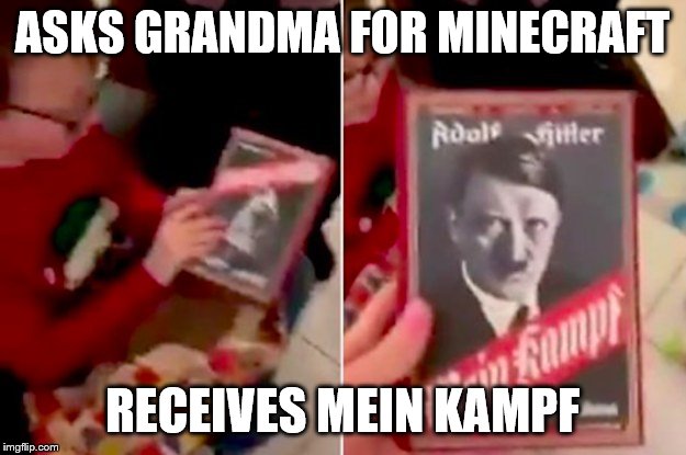 When you realize grandma is hard of hearing | ASKS GRANDMA FOR MINECRAFT; RECEIVES MEIN KAMPF | image tagged in funny,minecraft,funny memes | made w/ Imgflip meme maker