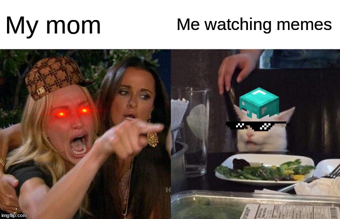 Woman Yelling At Cat Meme | My mom; Me watching memes | image tagged in memes,woman yelling at cat | made w/ Imgflip meme maker