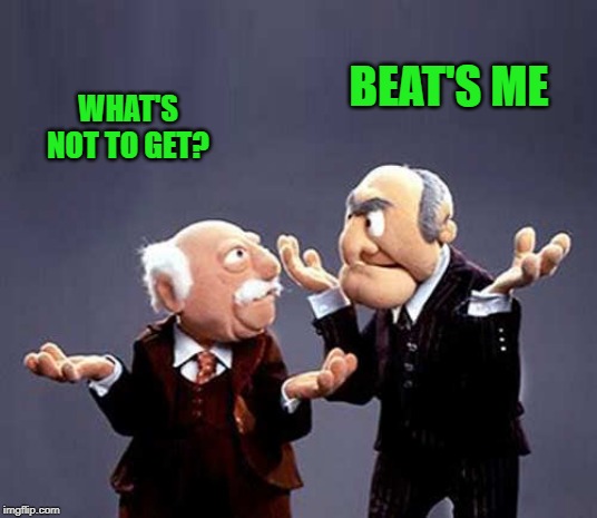 statler and waldorf | WHAT'S NOT TO GET? BEAT'S ME | image tagged in statler and waldorf | made w/ Imgflip meme maker