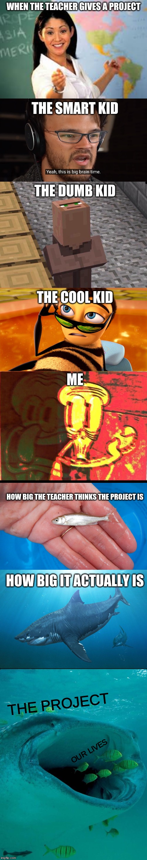 The Project | WHEN THE TEACHER GIVES A PROJECT; THE SMART KID; THE DUMB KID; THE COOL KID; ME; HOW BIG THE TEACHER THINKS THE PROJECT IS; HOW BIG IT ACTUALLY IS; THE PROJECT; OUR LIVES | image tagged in school,unhelpful high school teacher,yeah this is big brain time,shark,squidward,minecraft | made w/ Imgflip meme maker