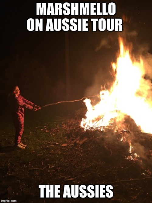 australian marshmellow | MARSHMELLO ON AUSSIE TOUR; THE AUSSIES | image tagged in australian marshmellow | made w/ Imgflip meme maker