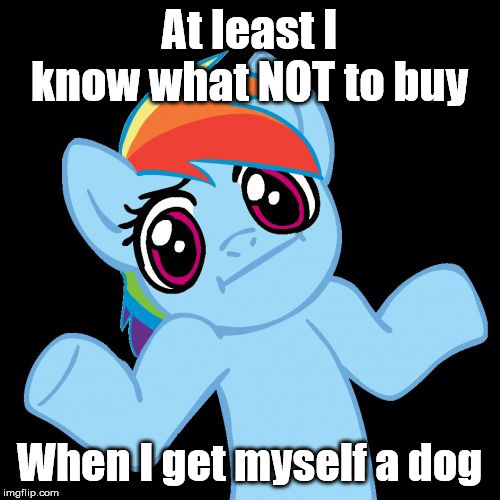 Pony Shrugs Meme | At least I know what NOT to buy When I get myself a dog | image tagged in memes,pony shrugs | made w/ Imgflip meme maker