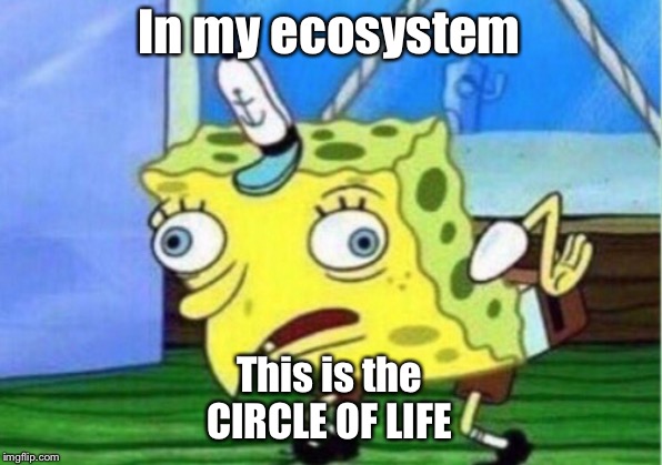 Mocking Spongebob Meme | In my ecosystem; This is the
CIRCLE OF LIFE | image tagged in memes,mocking spongebob | made w/ Imgflip meme maker