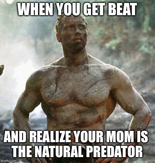 Predator |  WHEN YOU GET BEAT; AND REALIZE YOUR MOM IS 
THE NATURAL PREDATOR | image tagged in memes,predator | made w/ Imgflip meme maker