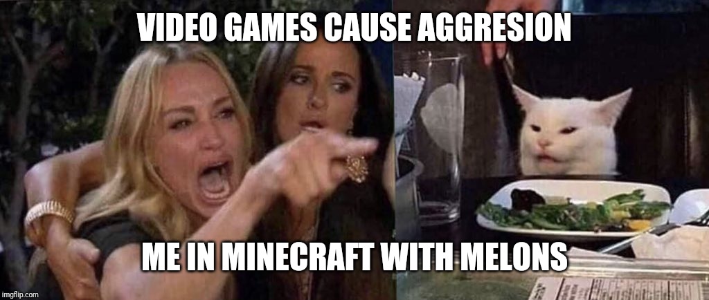 woman yelling at cat | VIDEO GAMES CAUSE AGGRESION; ME IN MINECRAFT WITH MELONS | image tagged in woman yelling at cat | made w/ Imgflip meme maker