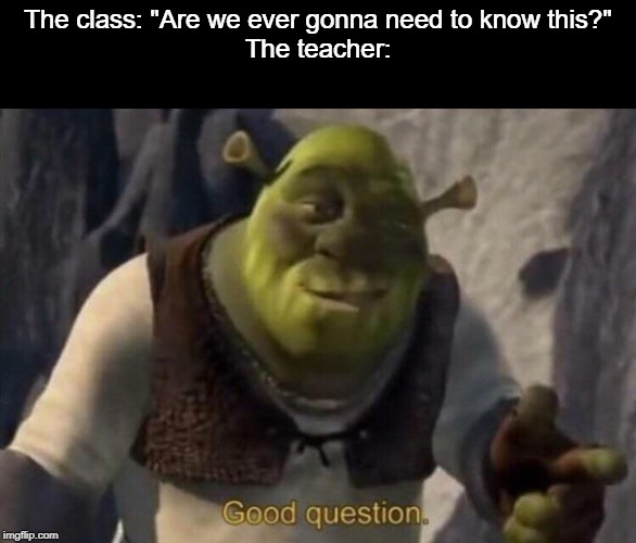 Nope, never. | The class: "Are we ever gonna need to know this?"
The teacher: | image tagged in shrek good question,teacher | made w/ Imgflip meme maker