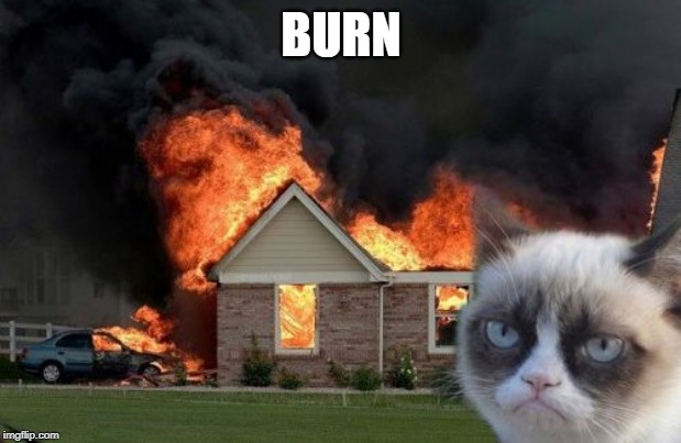 Burn Kitty Meme | BURN | image tagged in memes,burn kitty,grumpy cat | made w/ Imgflip meme maker