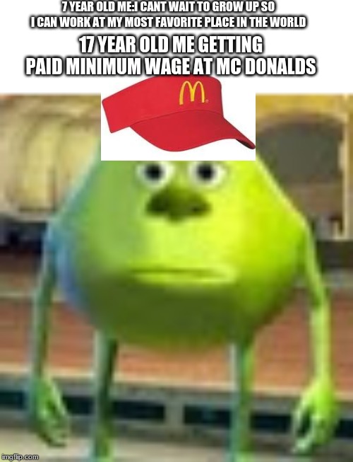Sully Wazowski | 7 YEAR OLD ME:I CANT WAIT TO GROW UP SO I CAN WORK AT MY MOST FAVORITE PLACE IN THE WORLD; 17 YEAR OLD ME GETTING PAID MINIMUM WAGE AT MC DONALDS | image tagged in sully wazowski | made w/ Imgflip meme maker
